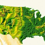 US Forest Cover Maps: A Comprehensive...